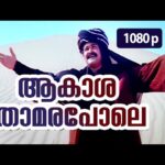 Aakaashathaamara