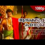 Aanaykkeduppathu ponnunde