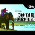 Ambalakkombante