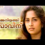 Aniyathipraavinu (Pathos)