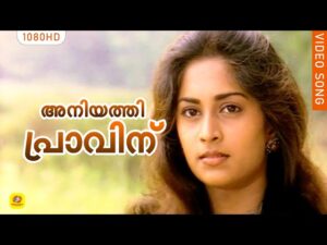 Aniyathipraavinu (Pathos)