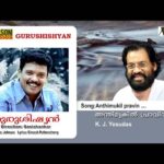 Anthimukilpraavin