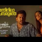 Anthinilaa Chemparunthe