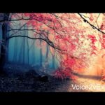 Chandana Manivaathil [F]