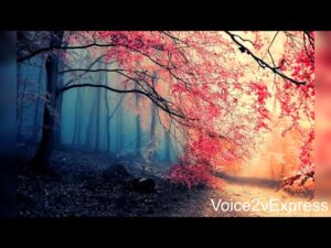 Chandana Manivaathil [F]