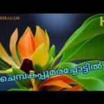 Chembakappoomara Chottil