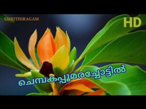 Chembakappoomara Chottil