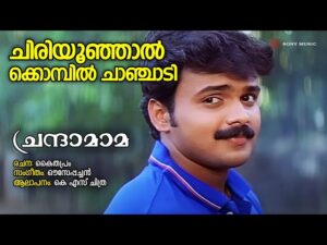 Chiriyoonjaalkkombil