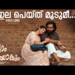 Ilapeythu Moodumi