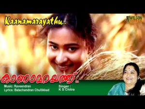 Kaanaamarayathu