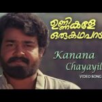 Kaanana Chaayayil [Remix]