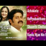 Shaanthicholluvaan Aarumilla