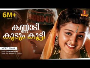 Kannaadikkoodum Kootti