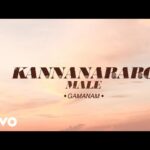 Kannanaaraaro (M)
