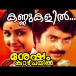 Kannukalil poo viriyum