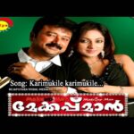 Karimukil