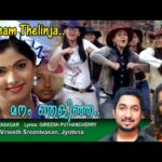 Manam Thelinja