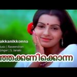 Manjakkanikkonna