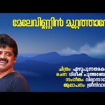 Melevinninmuttathaare