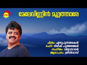 Melevinninmuttathaare