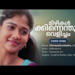 Mizhikalkkinnenthu Velicham [D]