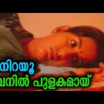 Nee nirayoo jeevanil pulakamaay