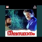 Nee yaamini