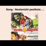 Neelamizhippeelikale