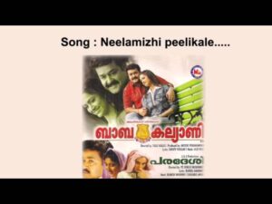 Neelamizhippeelikale