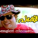 Nirangalil Neeraadanam