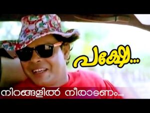 Nirangalil Neeraadanam