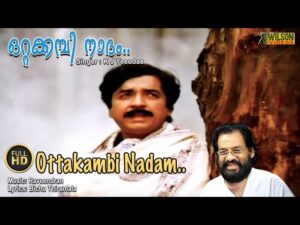 Ninnilam Maarile [Bit]