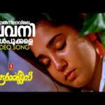 Paalnilaavile