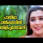 Paathirappaalkadavil