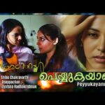 Peyyukayaanu