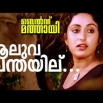 Pokkerikkante Chukkukaappi [Aaluva Chanthayilu]