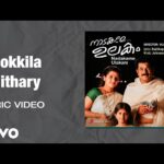 Pookkila Chithari