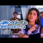 Pujabimbam mizhi thurannu