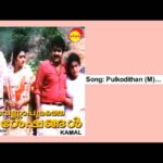 Pulkkodithan