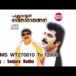 Sanchararadharasudha