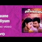 Thaane Poliyum Kaithiri Pole
