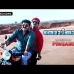 Themmaadikkaatte Ninnaatte