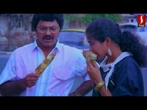 Thenoorum malar pootha poovadiyil