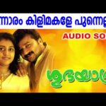 Thunnaaram kilimakale