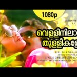Velli nilaa