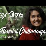 Vellimukil Chilludanjatho