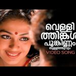 Vellithinkal