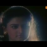 Vennilaavinte Varna