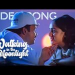 Walking in the moonlight