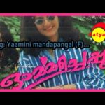 Yaaminee Mandapangal (F)